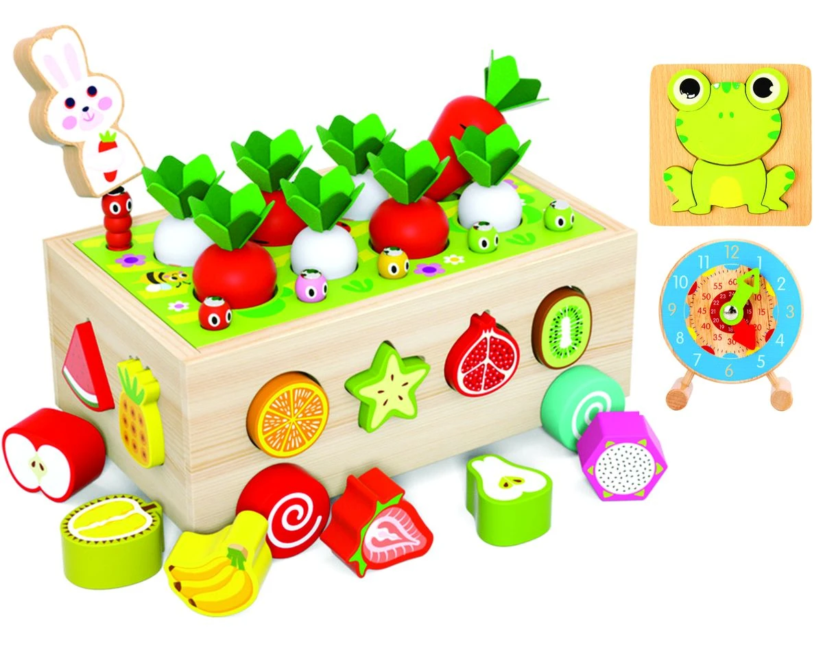 Wooden Educational Toys Shape Color Sorting Matching for Toddlers