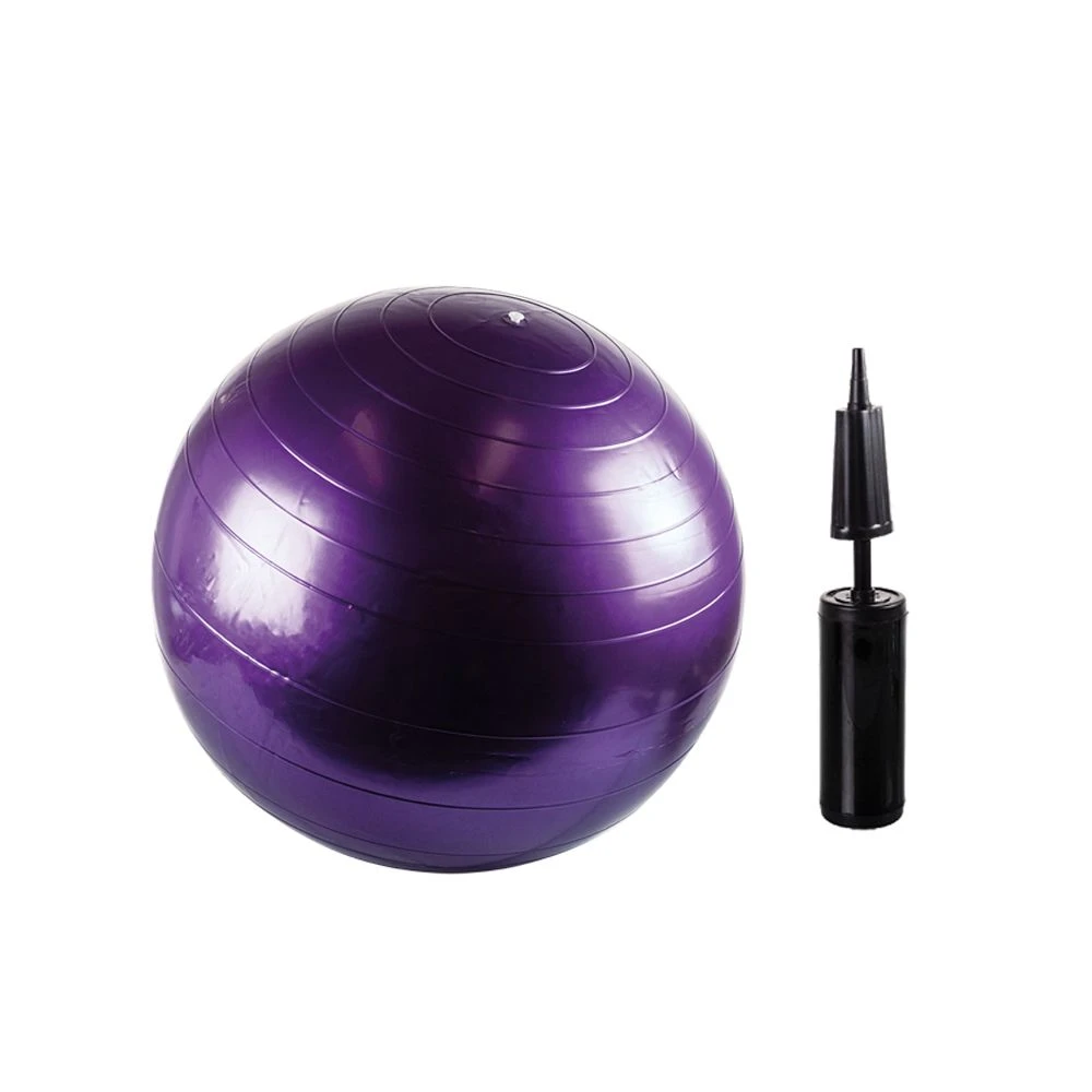 Pulse Active Fitness Yoga Exercise Ball with Pump - 65cm - Purple