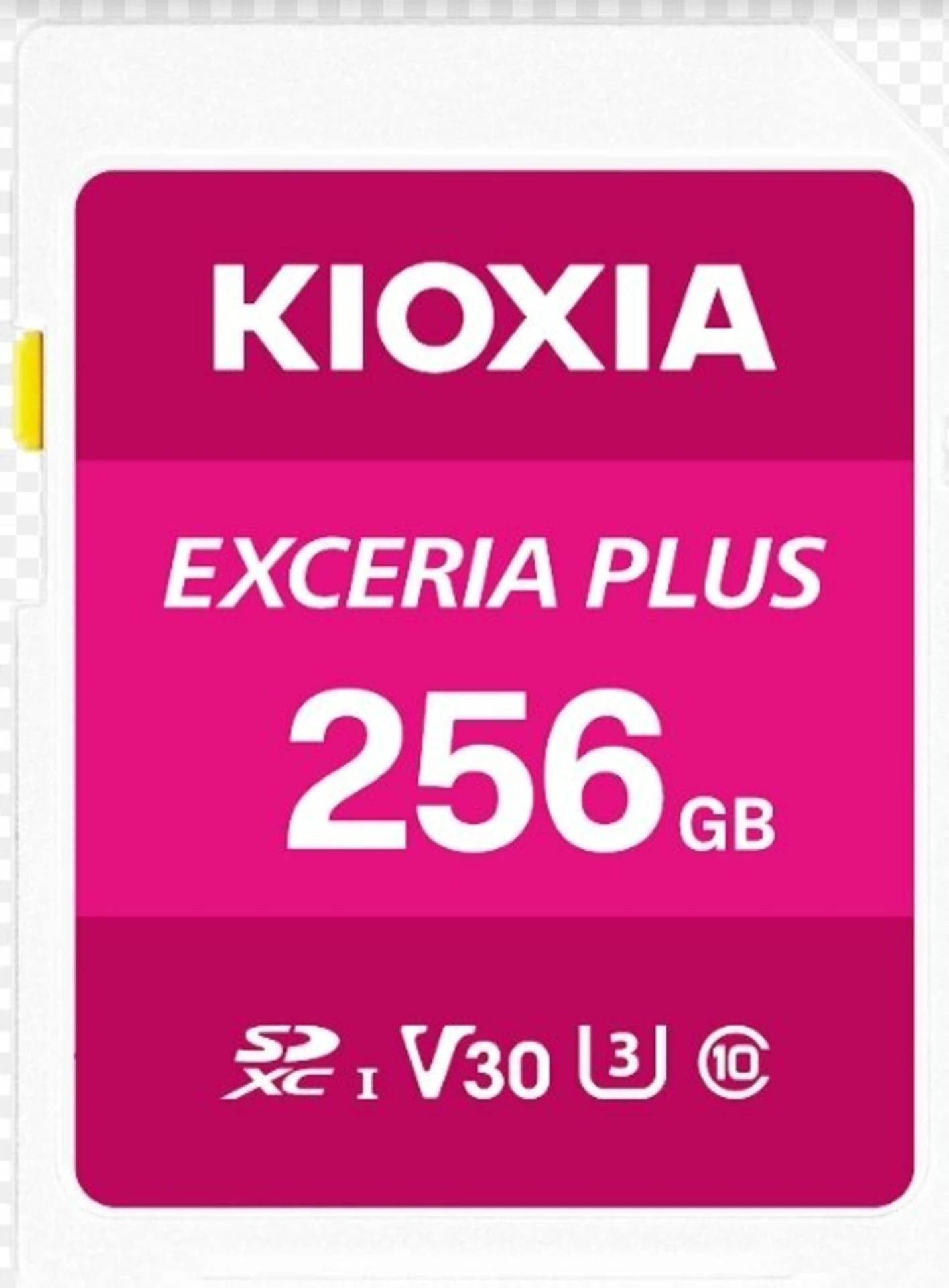 Kioxia Exceria Plus 256GB
