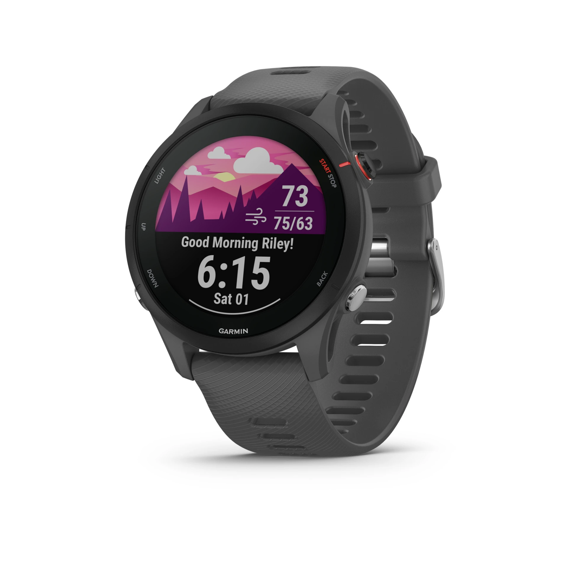 Garmin Forerunner 255, Slate Grey